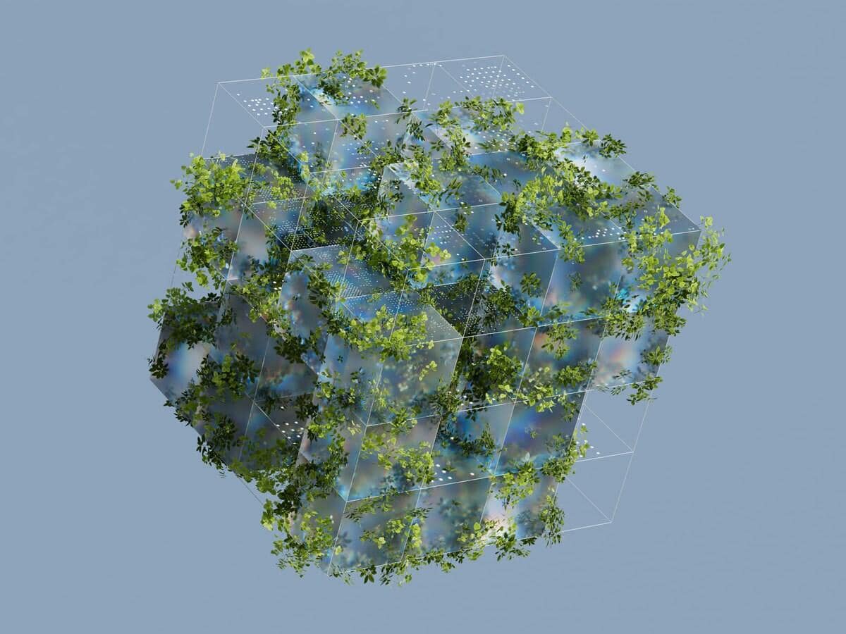 The Best Seedbox Free Trials 2026