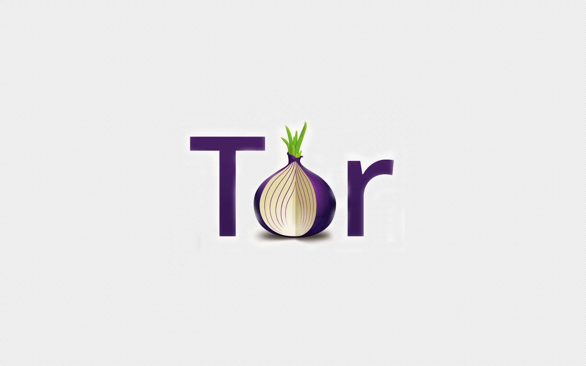 Tor Inion Tor Project Will Pay Developers to Find Privacy Flaws - GreyCoder